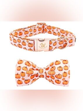 Pumpkin Print Pink Dog Collar & Bow Set